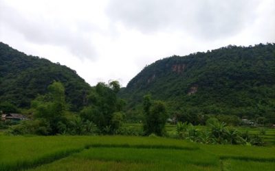 “Harvesting Hope”: The promising applications of plants in Hoa Binh