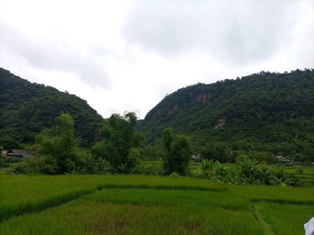 Hoa Binh Province: Biodiversity Group 2022-2024 © SUSDEV