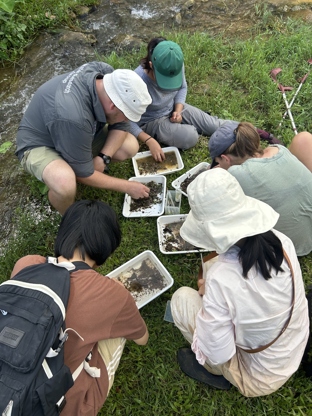 This is how we do our sampling. We use nets to catch the macroinvertebrates and use tweezers and pipettes to put them in an alcohol-filled vial for preservation © SUSDEV