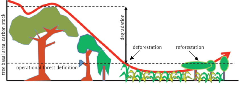 Forest transition curve + Van Noordwijk, Meine & Sunderland, Terry. (2014). Productive landscapes: what role for forests, trees and agroforestry?. ETFRN News. 56. 9-16