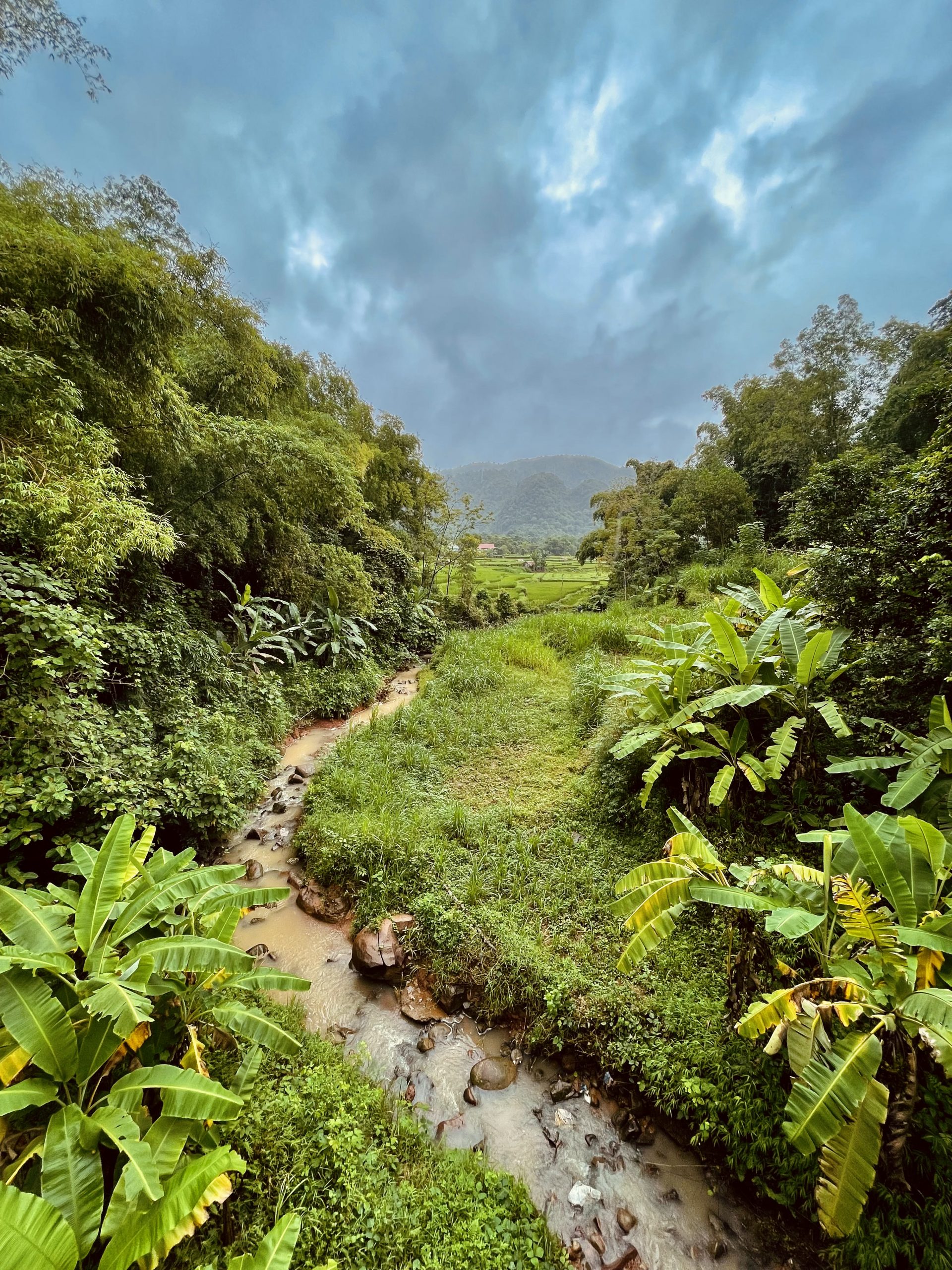 Forest transition in Vietnam by Hubert Claes © SUSDEV]