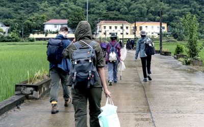 Goodbye, Pollinators