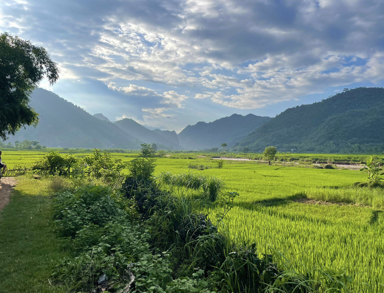 Vietnam Diverse Landscapes © SUSDEV