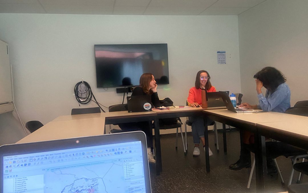 A challenging long-distance collaboration: Lessons from Vietnam Alternative Living Lab